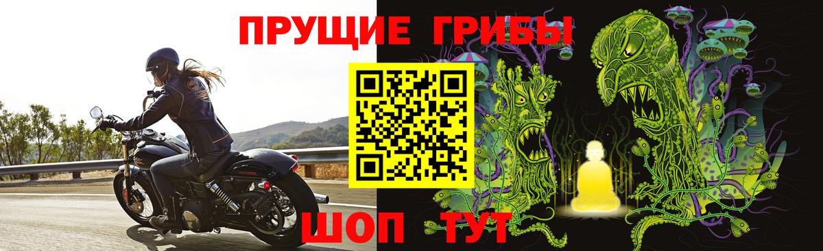 Галлюциногенные грибы прущие грибы Серов